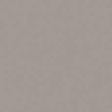 Керамогранит Rainbow Керамогранит 60x60x10 rw 03 60x60 Непол.Рект. (Керамический гранит) фото 1 | FLOORDEALER